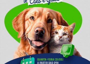 2ª Feira de Adoção de Cães e Gatos acontece nesta quarta-feira em Eunápolis
