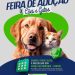 2ª Feira de Adoção de Cães e Gatos acontece nesta quarta-feira em Eunápolis