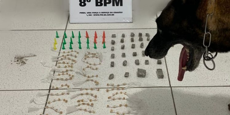 CÃO POLICIAL DO 8° BPM AUXILIA NA APREENSÃO DE DROGAS, EM SANTA CRUZ CABRÁLIA