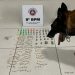 CÃO POLICIAL DO 8° BPM AUXILIA NA APREENSÃO DE DROGAS, EM SANTA CRUZ CABRÁLIA