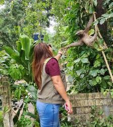 SAGUI E BICHO-PREGUIÇA SÃO RESGATADOS E ENCAMINHADOS AO CETAS
