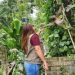 SAGUI E BICHO-PREGUIÇA SÃO RESGATADOS E ENCAMINHADOS AO CETAS