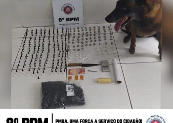 8° BPM APREENDE NOVA QUANTIDADE DE DROGAS, EM PORTO SEGURO. UMA PESSOA FOI CONDUZIDA