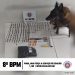 8° BPM APREENDE NOVA QUANTIDADE DE DROGAS, EM PORTO SEGURO. UMA PESSOA FOI CONDUZIDA