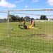 COPA BAHIA DE BASE, um incentivo ao futuro do esporte bretão.