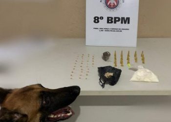 DROGAS APREENDIDAS COM AUXÍLIO DO CÃO POLICIAL DO 8° BPM, EM PORTO SEGURO