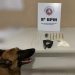 DROGAS APREENDIDAS COM AUXÍLIO DO CÃO POLICIAL DO 8° BPM, EM PORTO SEGURO