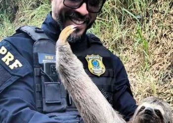 POLÍCIA RODOVIÁRIA FEDERAL, um trabalho especializado prá quem sempre está nas estradas.