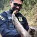 POLÍCIA RODOVIÁRIA FEDERAL, um trabalho especializado prá quem sempre está nas estradas.