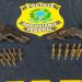 De contrabando, porte ilegal de armas, crime ambiental e outras “mumunhas” se tá errado, a PRF não perdoa, prende mesmo.