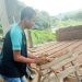 Projeto educacional promove valorização da vida no campo para estudantes da rede municipal de Eunápolis