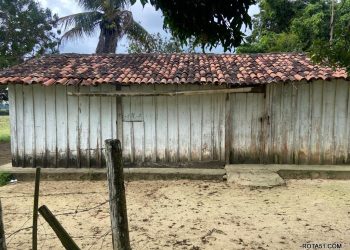 EUNÁPOLIS. Polícia Civil identifica e conduz autores do homicídio do trabalhador rural encontrado morto ontem à noite na zona rural.