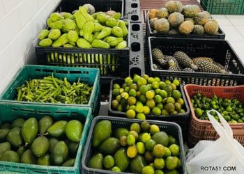 Eunápolis: em apenas três meses de 2023, PAA atinge valor que se aproxima de montante total de 2022