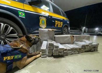 PRF apreende maconha até dentro de dinossauro.