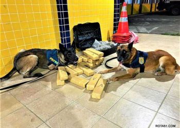 Polícia Rodoviária Federal, segurança e orientação nas rodovias.