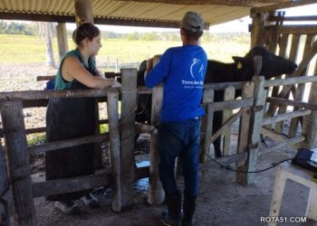 Inseminação de alta genética chega aos rebanhos de Porto Seguro