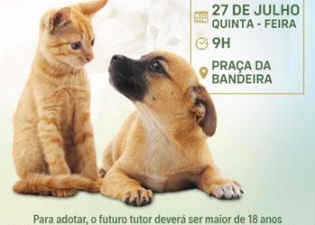 Prefeitura de Eunápolis promove 3ª Feira de Adoção de Animais na Praça da Bandeira nesta quinta-feira