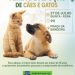Prefeitura de Eunápolis promove 3ª Feira de Adoção de Animais na Praça da Bandeira nesta quinta-feira
