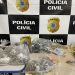 Porto Seguro – Fato Relevante – Polícia Civil localiza imóvel ocupado por criminosos especializados em furto de motos e apreende farta quantidade de drogas, arma e munições de calibres diversos
