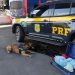 A vigilância com segurança nas rodovias é com a PRF