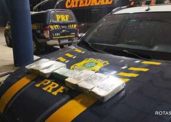k-9, um cão farejador que ajuda a polícia e a PRF, na apreensão de drogas