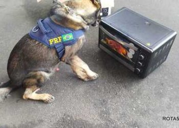 PRF  apreende mais drogas e encontra menor desaparecido.