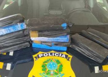 Resgate de aves, recuperação de carros roubados, prisão de fugitivos da justiça, a PRF cumpre o seu papel de compromisso.