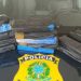Resgate de aves, recuperação de carros roubados, prisão de fugitivos da justiça, a PRF cumpre o seu papel de compromisso.