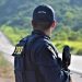 Tráfico de drogas, recuperação de veículos, motoristas embriagados, nas rodovias, a PRF toma conta e…dá conta.