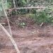 FISCAIS AMBIENTAIS FLAGRARAM DESMATAMENTO NO ALTO DO VILLAS EM ARRAIAL D’AJUDA