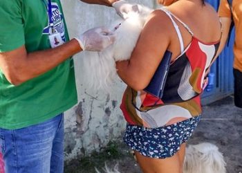 Vacinação antirrábica atinge a marca de 27.811 cães e gatos em Porto Seguro
