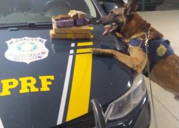 A POLÍCIA RODOVIÁRA FEDERAL dá um grande golpe nos traficantes.