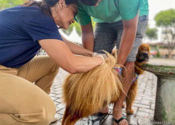 Campanha de Vacinação Antirrábica imuniza mais de 900 animais em Eunápolis