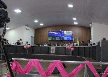 Sessão da Câmara de vereadores, sem discursos e sem assuntos, é cada um puxando a brasa pra sua sardinha.