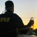 Saqueadores, traficantes, ladrões e furtos apreendidos, a PRF merece muito respeito.
