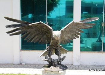 A “ÁGUIA”, poderá ser o novo símbolo cultural da cidade.