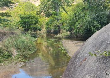 Vereador cobra ações da Embasa para preservação do Rio Buranhém