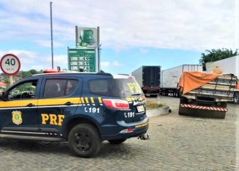 PRF apreende caminhão transportando carga de madeira sem documentação válida