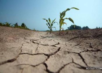 Construção Sustentável: Eficiência Hídrica como Prioridade