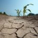 Construção Sustentável: Eficiência Hídrica como Prioridade
