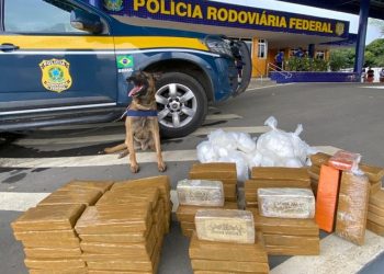 PRF dá outro grande prejuízo aos traficantes.