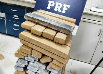 PRF combate o tráfico de drogas e, apreende carros roubados, contrabando de vinhos importados e, carga de melancia sem nota.
