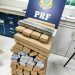 PRF combate o tráfico de drogas e, apreende carros roubados, contrabando de vinhos importados e, carga de melancia sem nota.