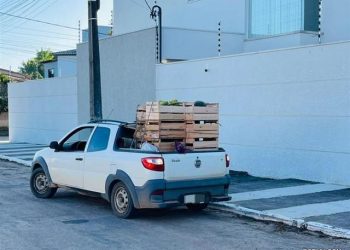 Agricultores de Eunápolis são impactados por redução drástica dos recursos do PAA pelo Governo Federal