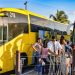 CARNAVAL 2024: RECORDE DE TURISTAS ANIMA PORTO SEGURO