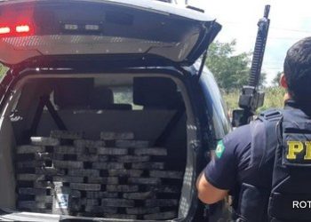 Apreensão de cocaína avaliada em mais de R$ 5 milhões de reais em Teresina