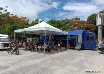 1ª FASE: MUTIRÃO DE CASTRAÇÃO BATE RECORDE EM ARRAIAL D’AJUDA