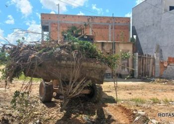 Limpeza Pública de Eunápolis: A gestão da Prefeita Cordélia impressiona pela qualidade e eficiência do serviço.