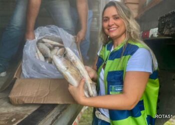 18 mil quilos de peixes entregues: Prefeitura de Eunápolis bate recorde na distribuição de peixes  na  Semana Santa pelo 3º ano consecutivo