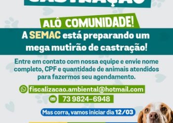 MUTIRÃO DE CASTRAÇÃO DA SEMAC AMPLIA ATENDIMENTO PARA ANIMAIS DOMÉSTICOS